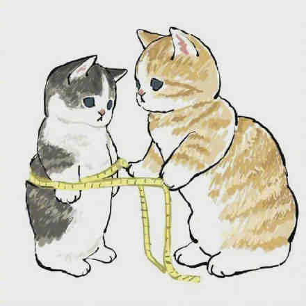 猫咪减肥计划可爱微信表情包
