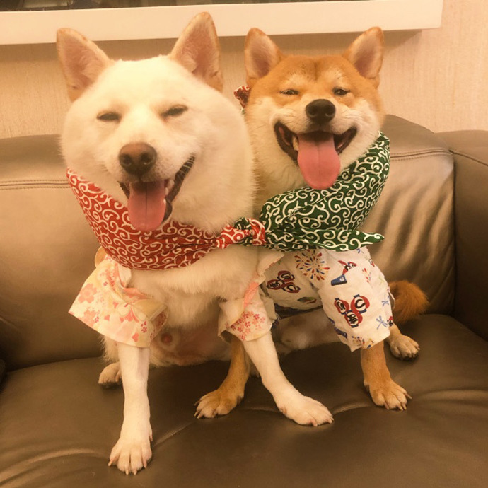 适合夏天的一组可爱情侣微信头像