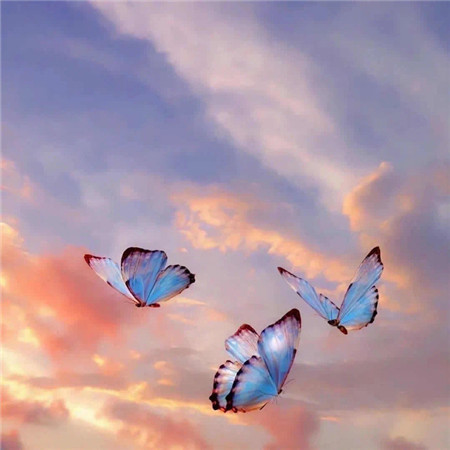 可爱感爆棚的微信背景图