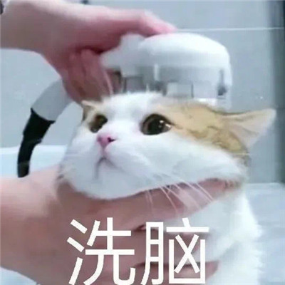 经典好笑的微信表情包