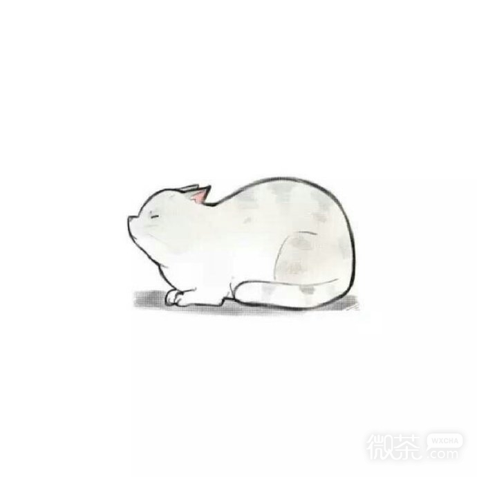 卡通可爱情侣微信头像