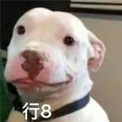 爆笑搞怪表情包