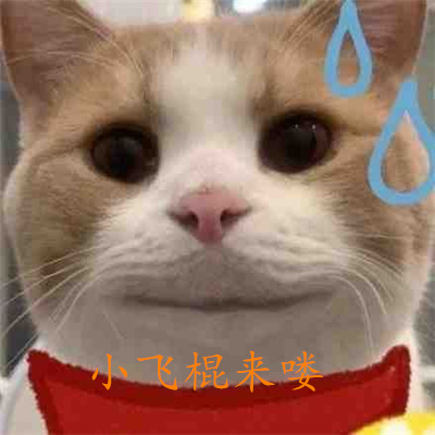 小飞棍来喽表情包合集