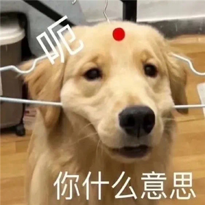 让人看了就很开心的表情