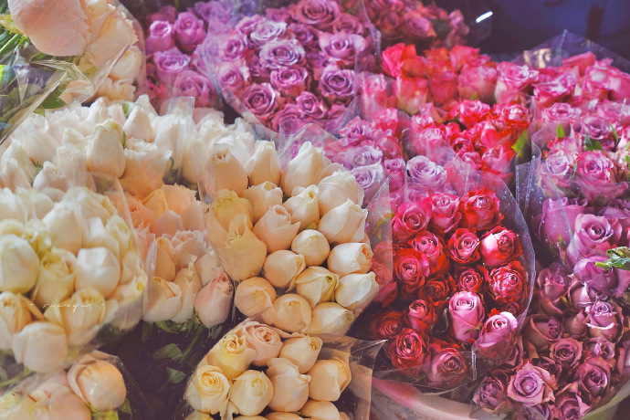 超美的鲜花个性微信头像