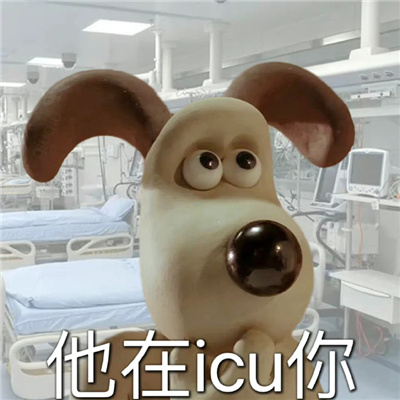 最近网上很火的梗表情包