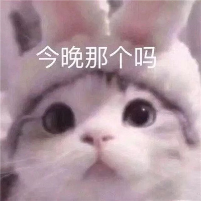 害羞又很可爱的表情包