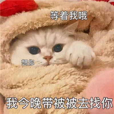 情侣之间发的色色聊天表情