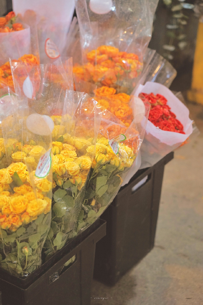 超美的鲜花个性微信头像