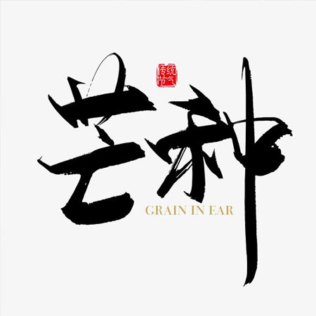 芒种节气微信素材图片