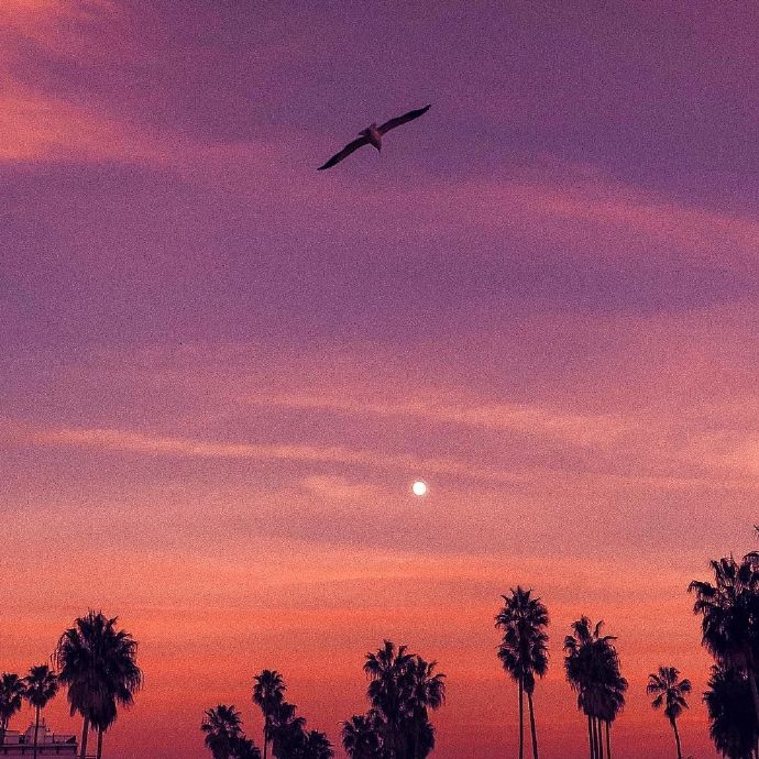 美如画的微信背景图