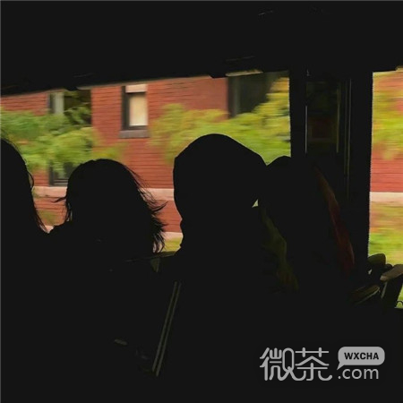 高级又不失俏皮的微信图片