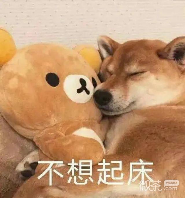 不想起床搞笑微信表情包
