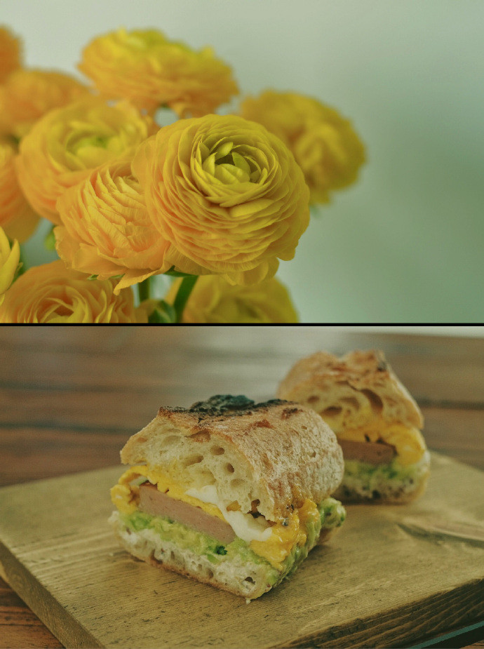 清新治愈的绿色系聊天背景图