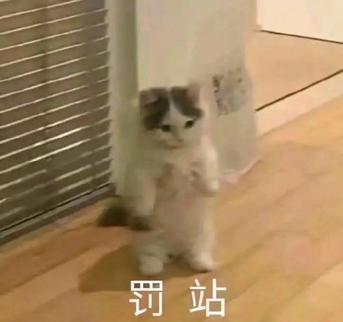 最新日常聊天沙雕微信表情包