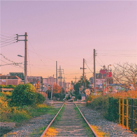 浪漫唯美的夕阳微信素材图片