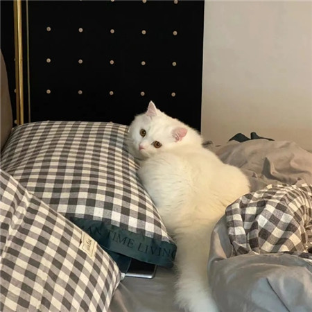 好看又很日常的朋友圈背景