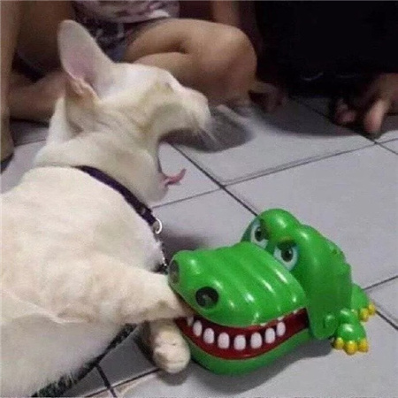 焦虑心烦时发朋友圈配图素材