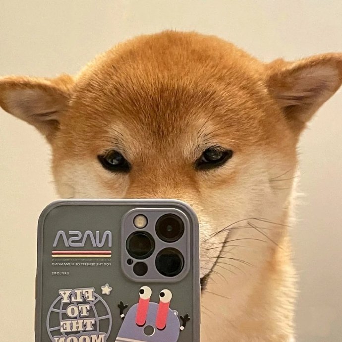 沙雕狗狗自拍微信头像