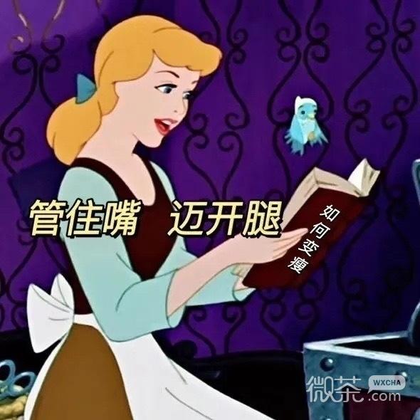 迪士尼公主拽姐版本朋友圈背景图 ​​​​
