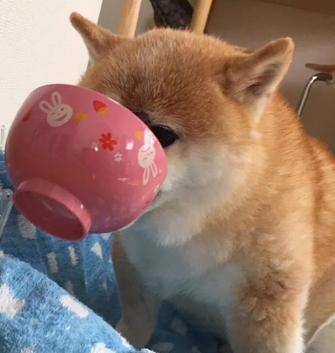 干饭人可爱情侣微信头像