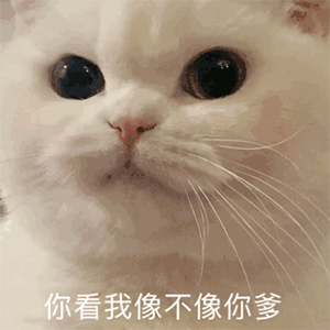 超好用的又很可爱的动图表情