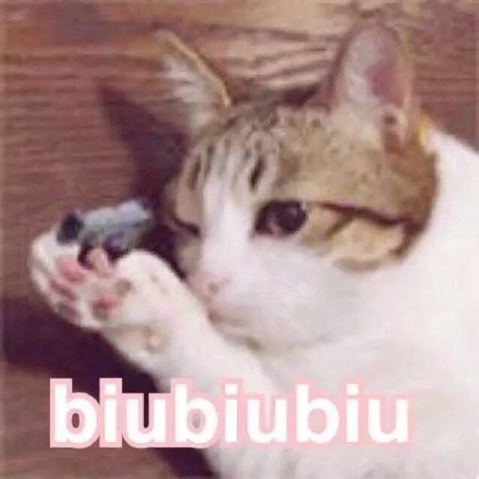 沙雕猫猫拿枪微信表情包
