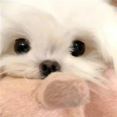 搞怪头像超级逗比