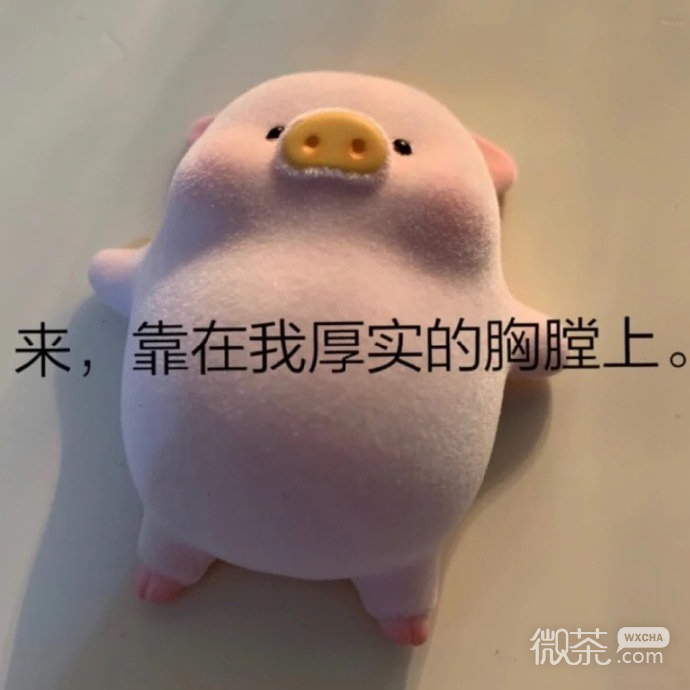 玩偶猪猪搞笑微信表情包