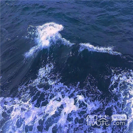 伤感ins风的大海微信朋友圈配图