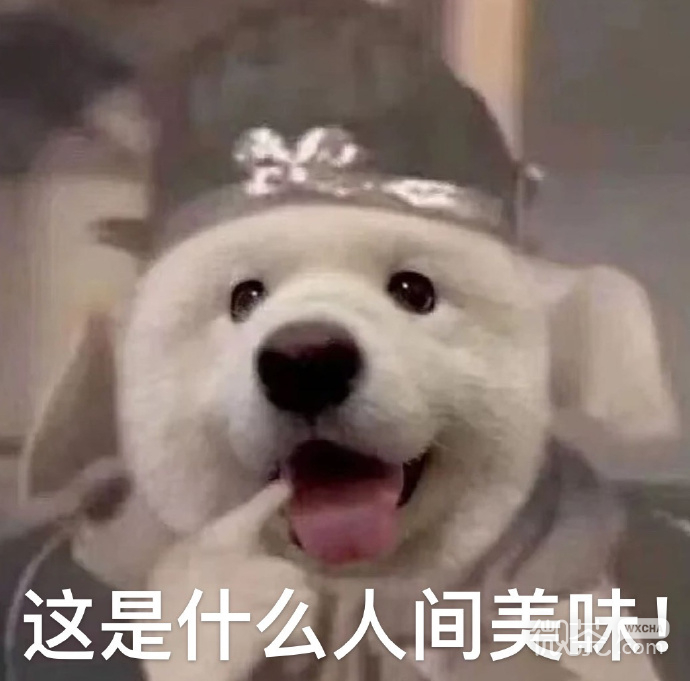 天线宝宝西游记梦幻联动微信表情包