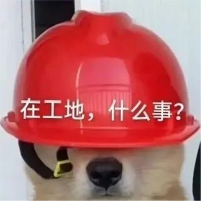 搞笑女必备表情