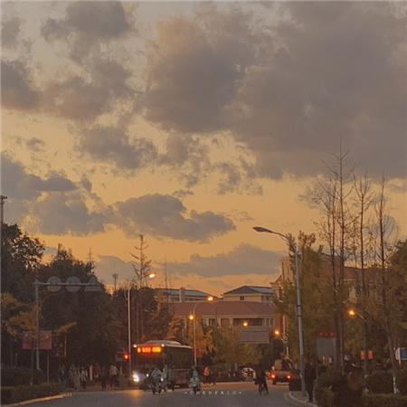 初秋朦胧感的日常背景图
