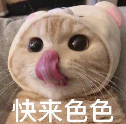 想要色色的猫咪和狗狗微信表情包