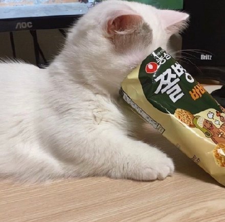 猫猫睡不醒微信表情包