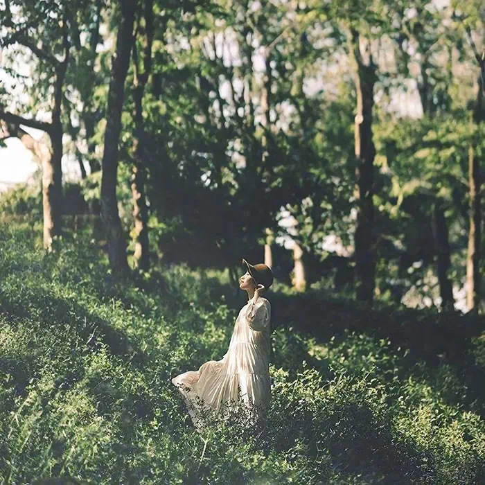 绿色系护眼朋友圈背景图