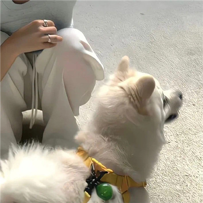 氛围感满满的情头