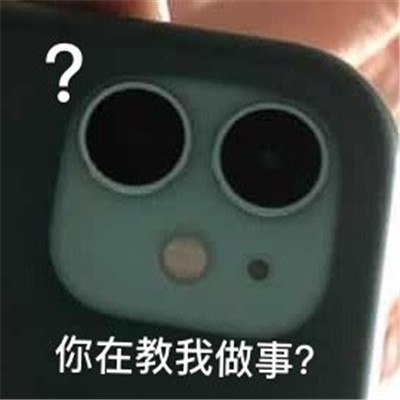 苹果后置相机奇怪又有趣的表情包