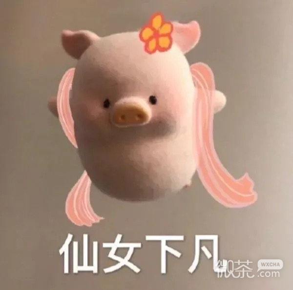 玩偶猪猪搞笑微信表情包