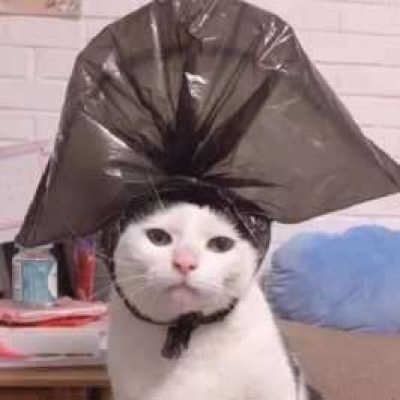 沙雕青年必备头像