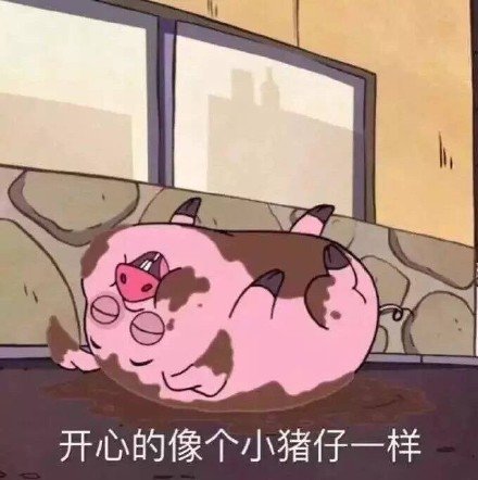 可爱小猪微信表情包