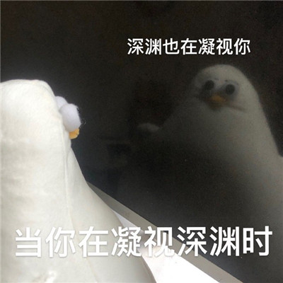 魔性海鸥搞笑微信表情包