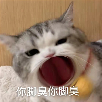 有趣搞怪的大嘴猫表情包