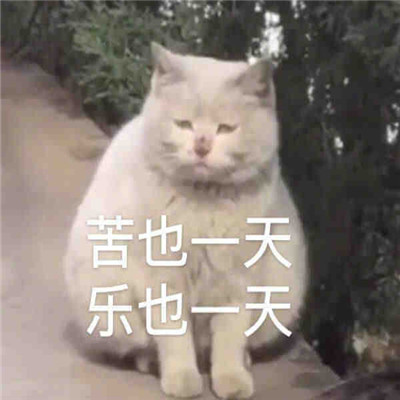 悲伤难受的系列微信表情包