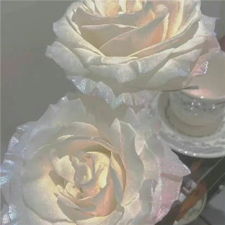 冷色系ins风图片