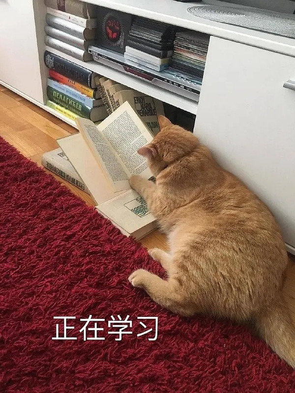 关于学习的套系微信表情包