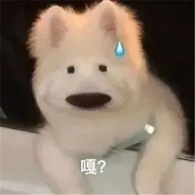 沙雕聊天搞怪必备表情包