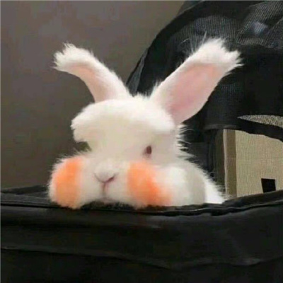 奇怪可爱的搞怪个性头像