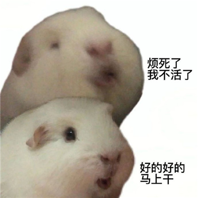 很好玩的双面人表情包