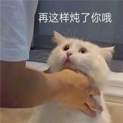 微信斗图可爱表情